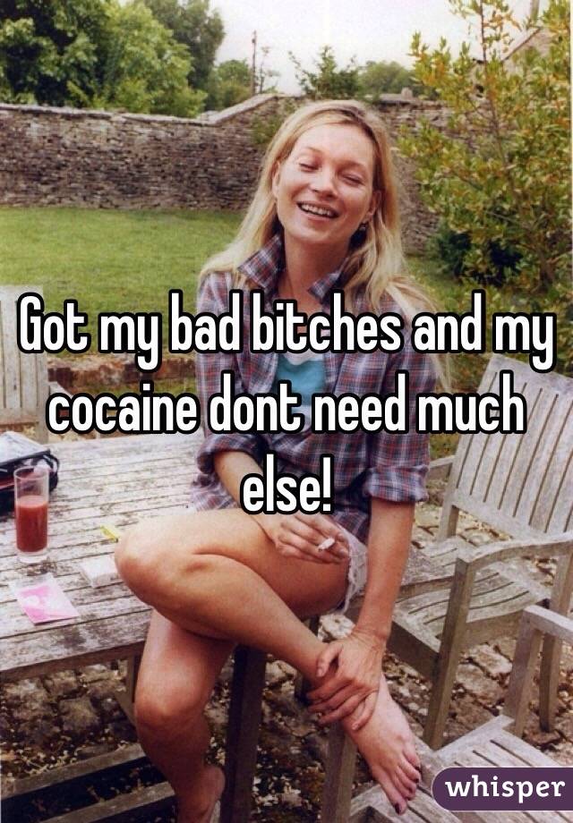 Got my bad bitches and my cocaine dont need much else! 