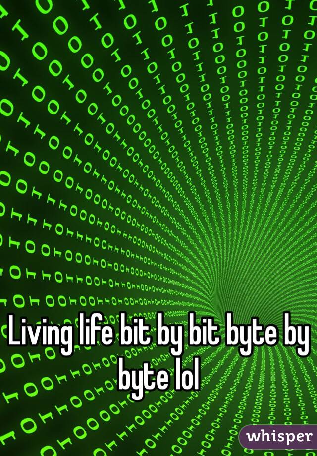 Living life bit by bit byte by byte lol