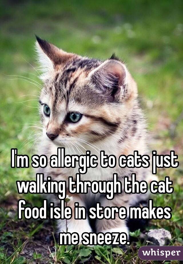 I'm so allergic to cats just walking through the cat food isle in store makes me sneeze. 