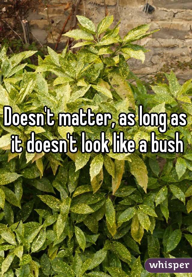 Doesn't matter, as long as it doesn't look like a bush