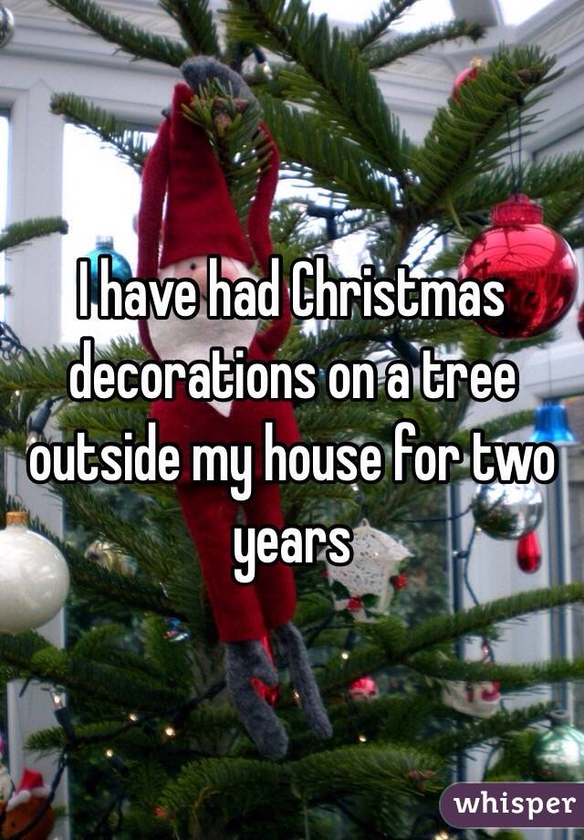 I have had Christmas decorations on a tree outside my house for two years