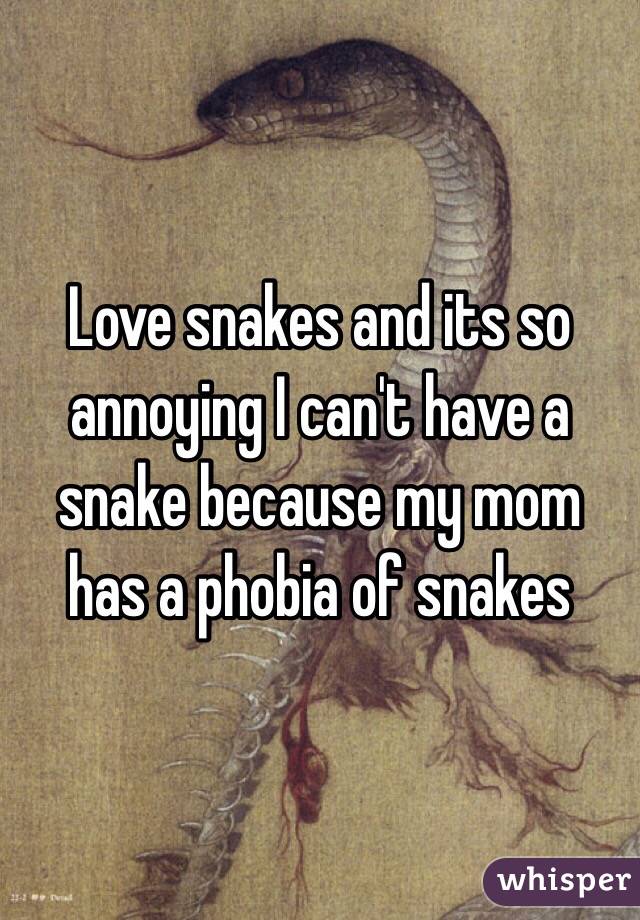 Love snakes and its so annoying I can't have a snake because my mom has a phobia of snakes