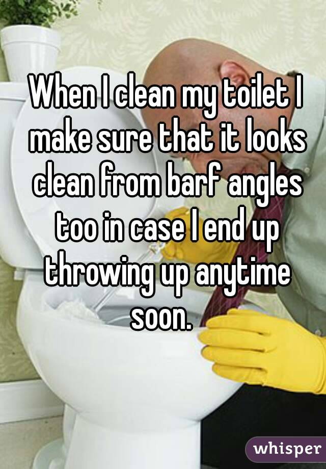 When I clean my toilet I make sure that it looks clean from barf angles too in case I end up throwing up anytime soon.  