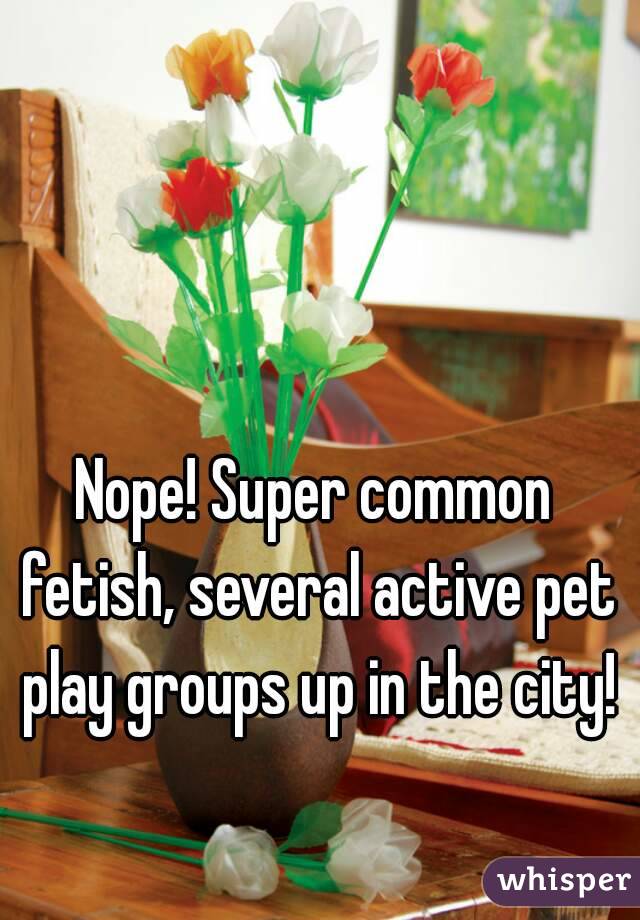Nope! Super common fetish, several active pet play groups up in the city!