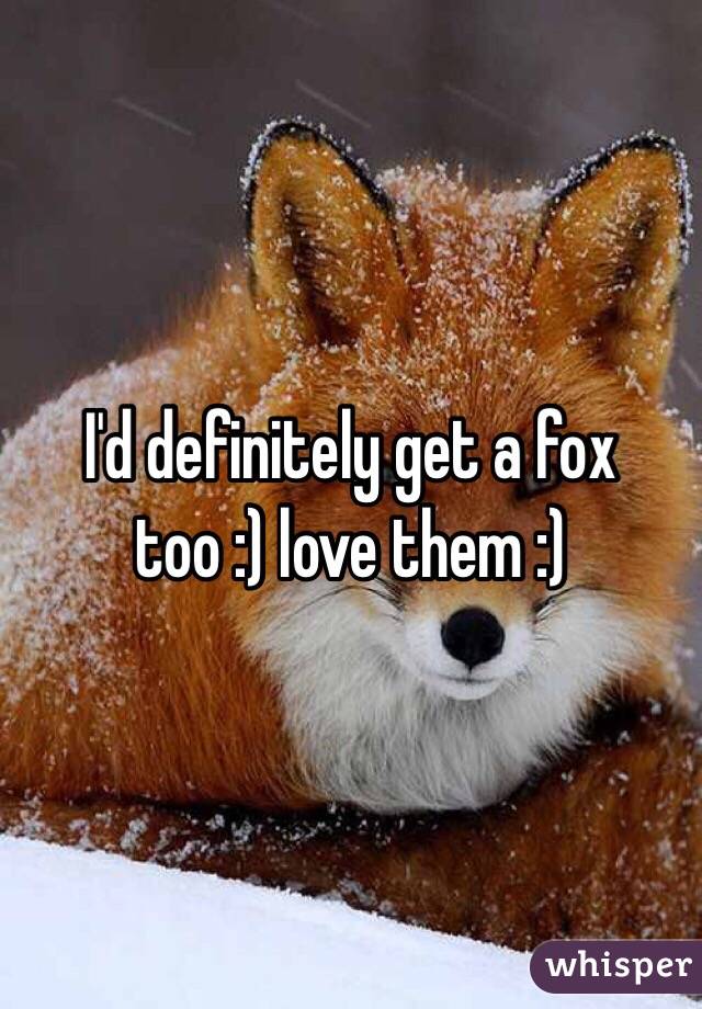 I'd definitely get a fox too :) love them :)