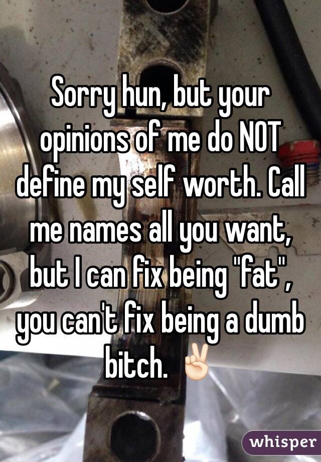 Sorry hun, but your opinions of me do NOT define my self worth. Call me names all you want, but I can fix being "fat", you can't fix being a dumb bitch. ✌🏻️