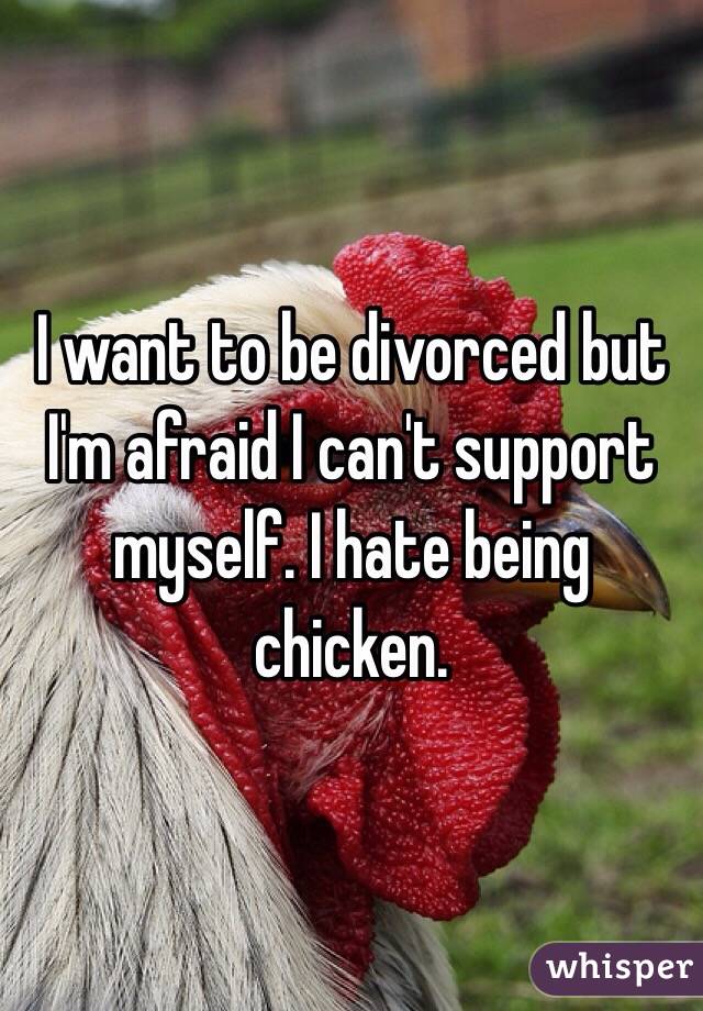 I want to be divorced but I'm afraid I can't support myself. I hate being chicken. 