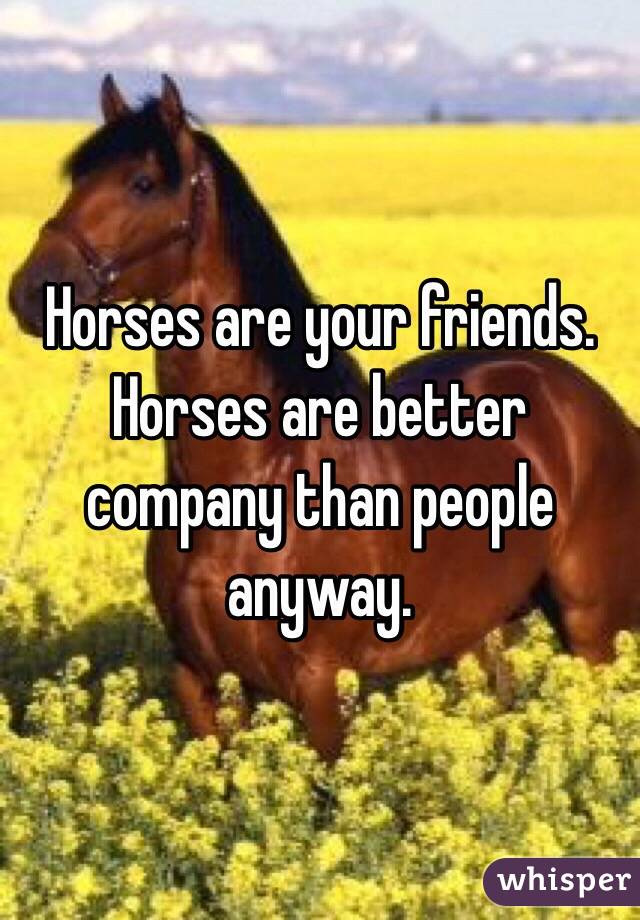 Horses are your friends. Horses are better company than people anyway.