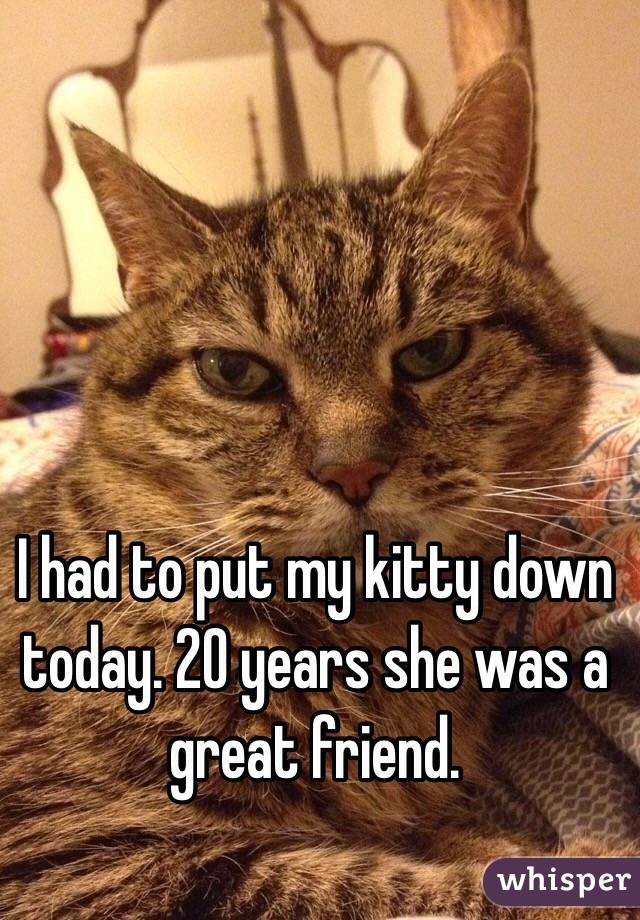 I had to put my kitty down today. 20 years she was a great friend. 