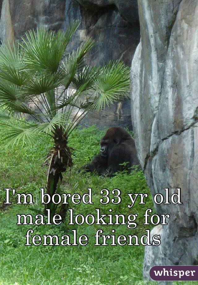 I'm bored 33 yr old male looking for female friends 