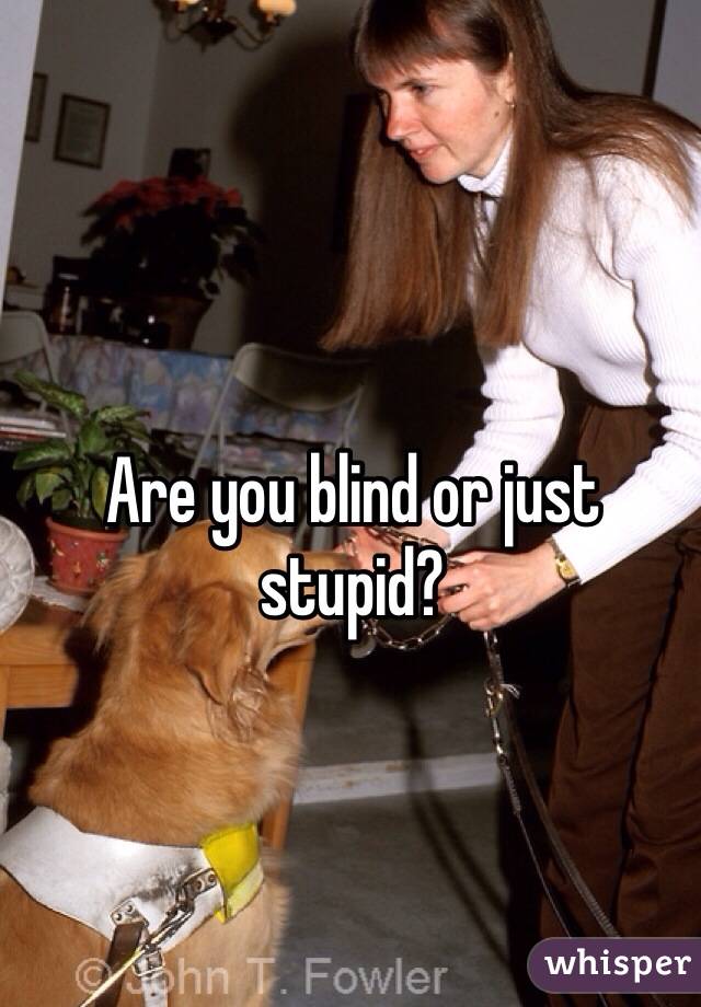 Are you blind or just stupid?