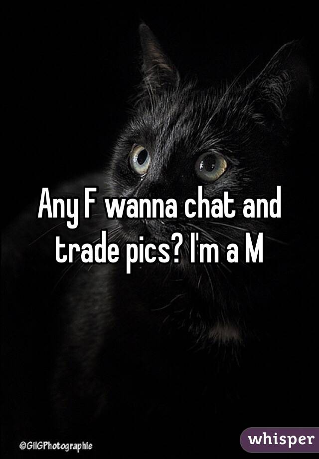 Any F wanna chat and trade pics? I'm a M 