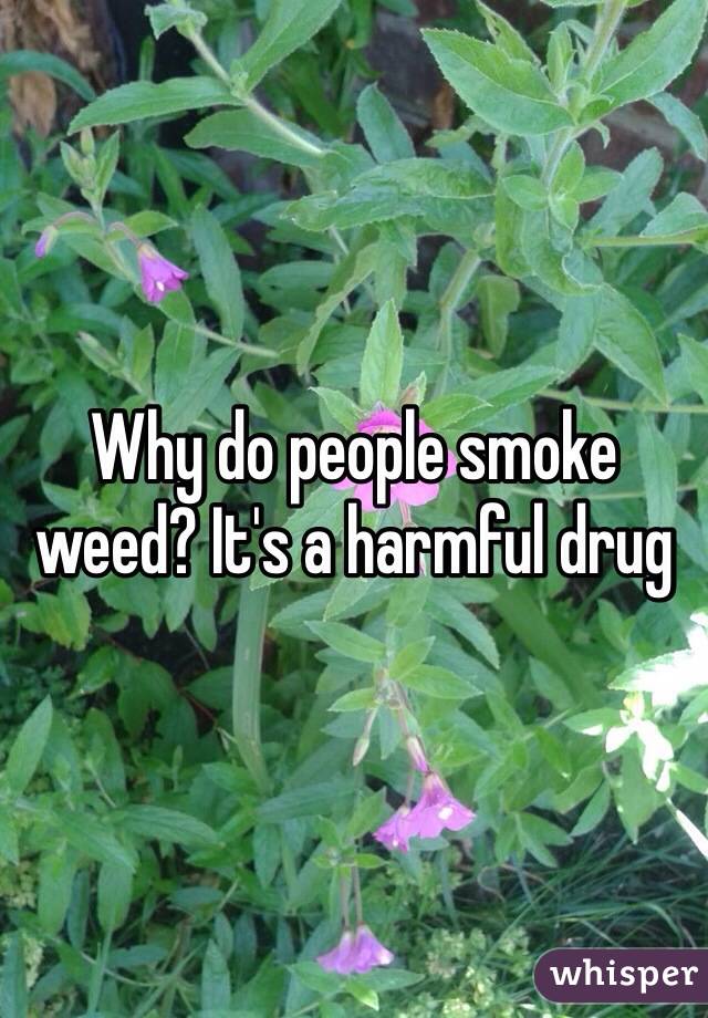 Why do people smoke weed? It's a harmful drug