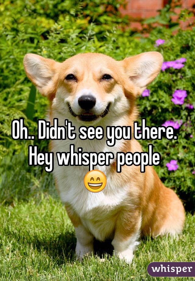 Oh.. Didn't see you there. Hey whisper people 
😄
