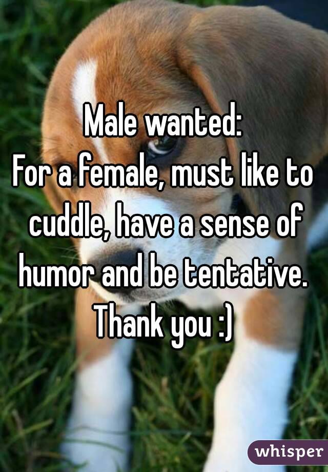 Male wanted:
For a female, must like to cuddle, have a sense of humor and be tentative. 
Thank you :)