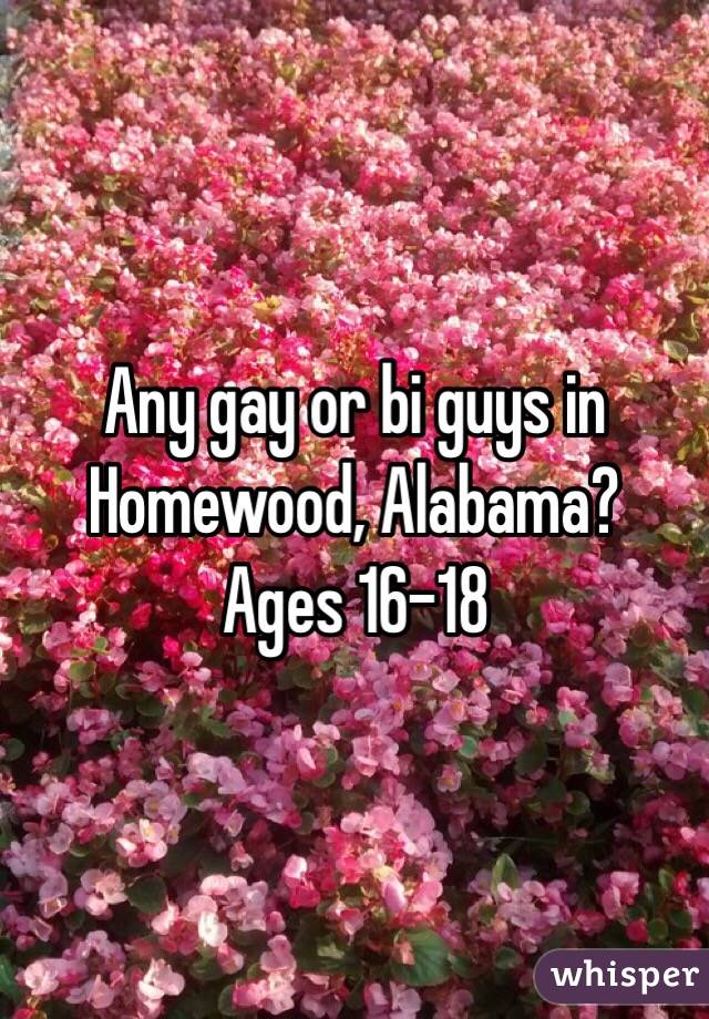 Any gay or bi guys in Homewood, Alabama?
Ages 16-18
