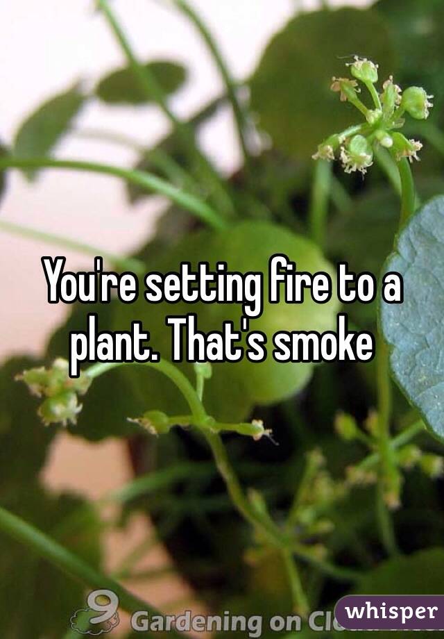 You're setting fire to a plant. That's smoke 