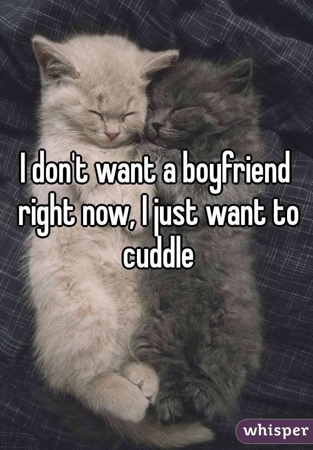 I don't want a boyfriend right now, I just want to cuddle