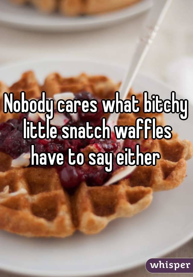 Nobody cares what bitchy little snatch waffles have to say either 