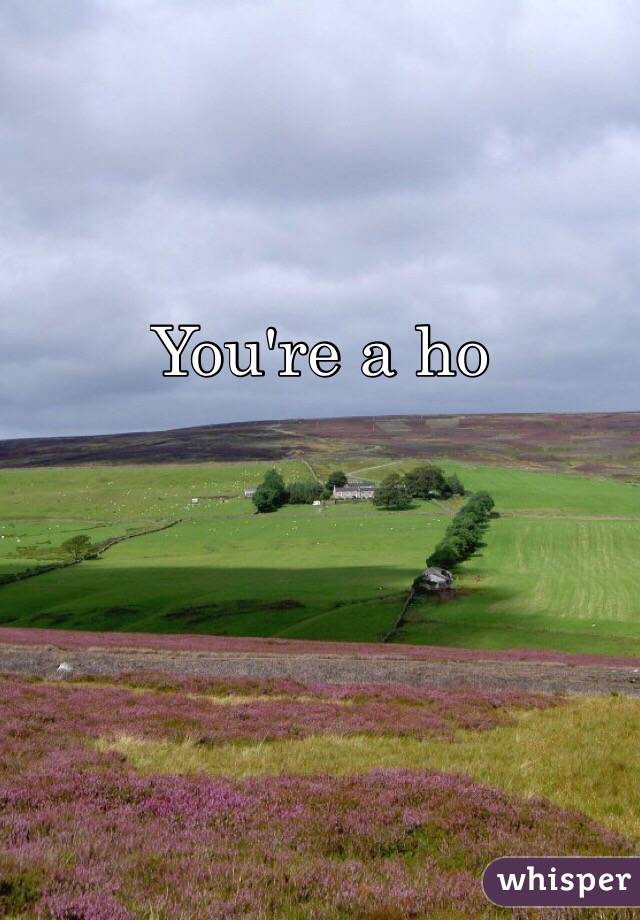 You're a ho