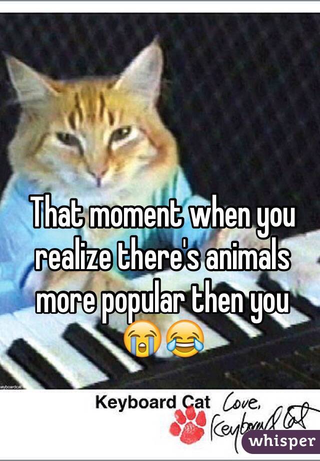 That moment when you realize there's animals more popular then you 
😭😂