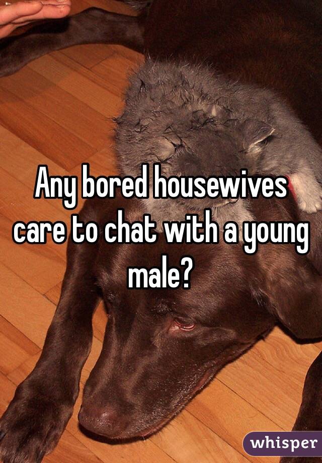Any bored housewives care to chat with a young male?