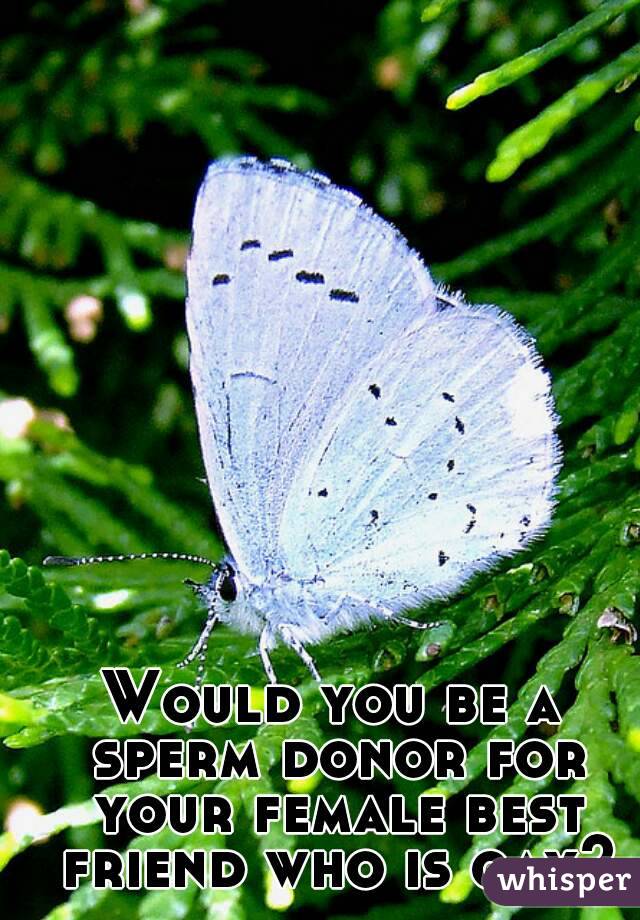 Would you be a sperm donor for your female best friend who is gay?