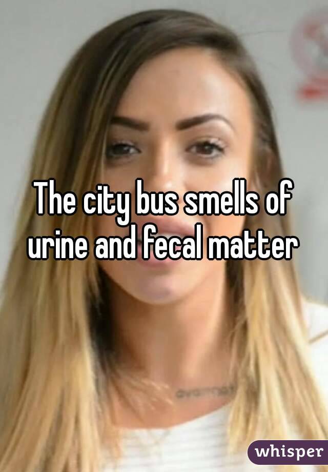 The city bus smells of urine and fecal matter 