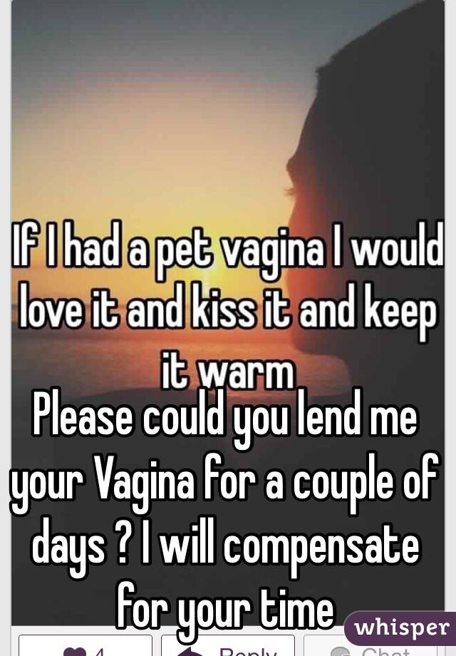 Please could you lend me your Vagina for a couple of days ? I will compensate for your time