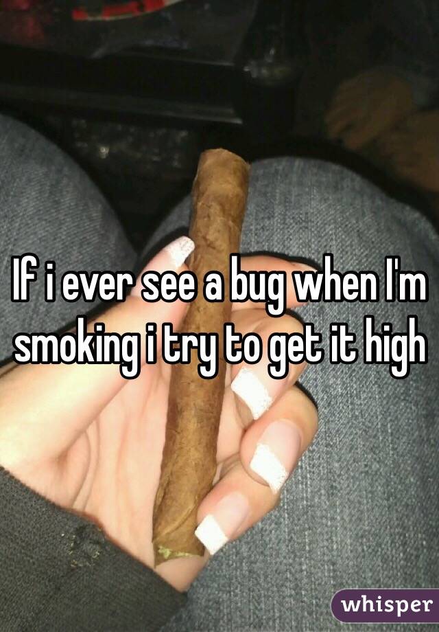 If i ever see a bug when I'm smoking i try to get it high