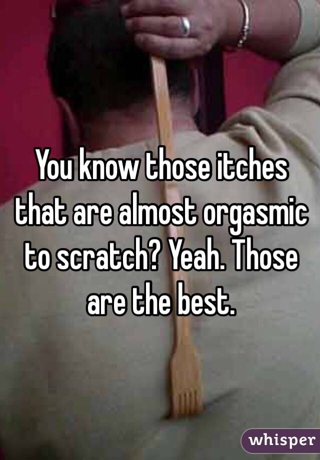 You know those itches that are almost orgasmic to scratch? Yeah. Those are the best. 