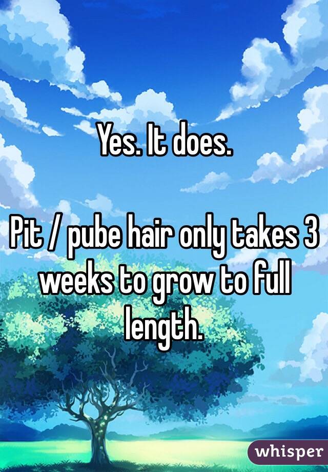 Yes. It does. 

Pit / pube hair only takes 3 weeks to grow to full length. 