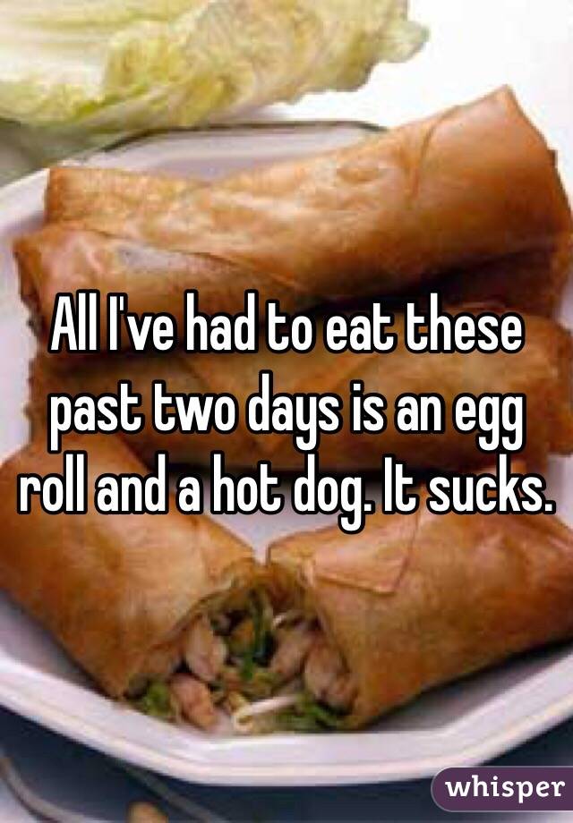 All I've had to eat these past two days is an egg roll and a hot dog. It sucks. 