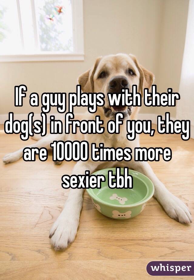 If a guy plays with their dog(s) in front of you, they are 10000 times more sexier tbh
