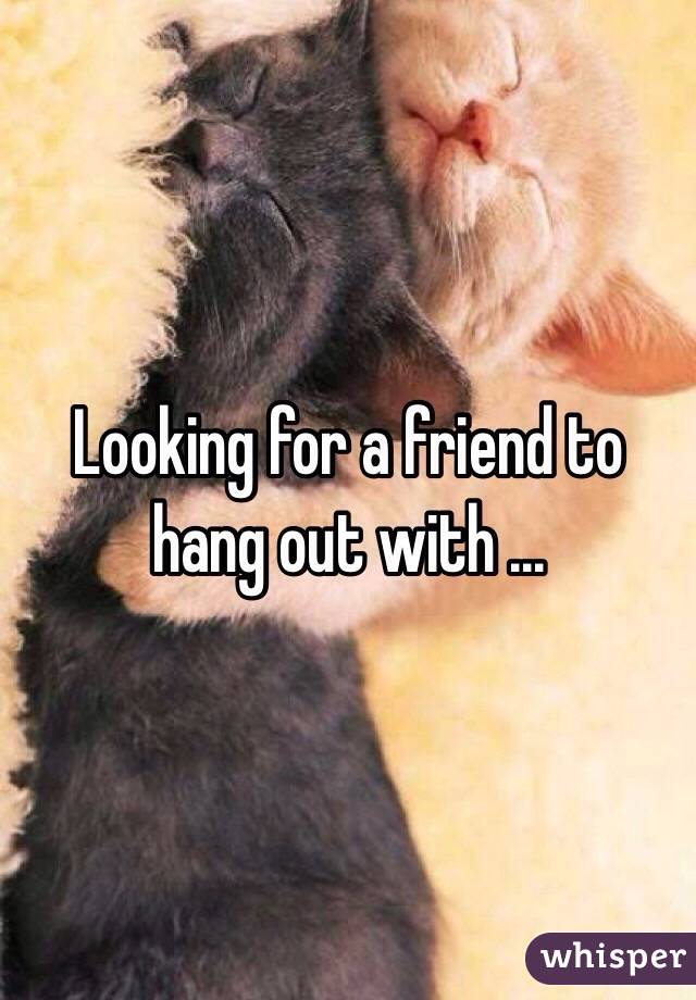 Looking for a friend to hang out with ...
