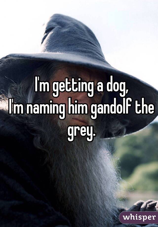 I'm getting a dog,
I'm naming him gandolf the grey. 
