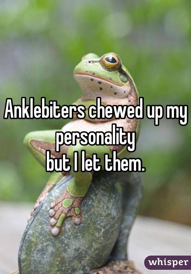 Anklebiters chewed up my personality
but I let them.