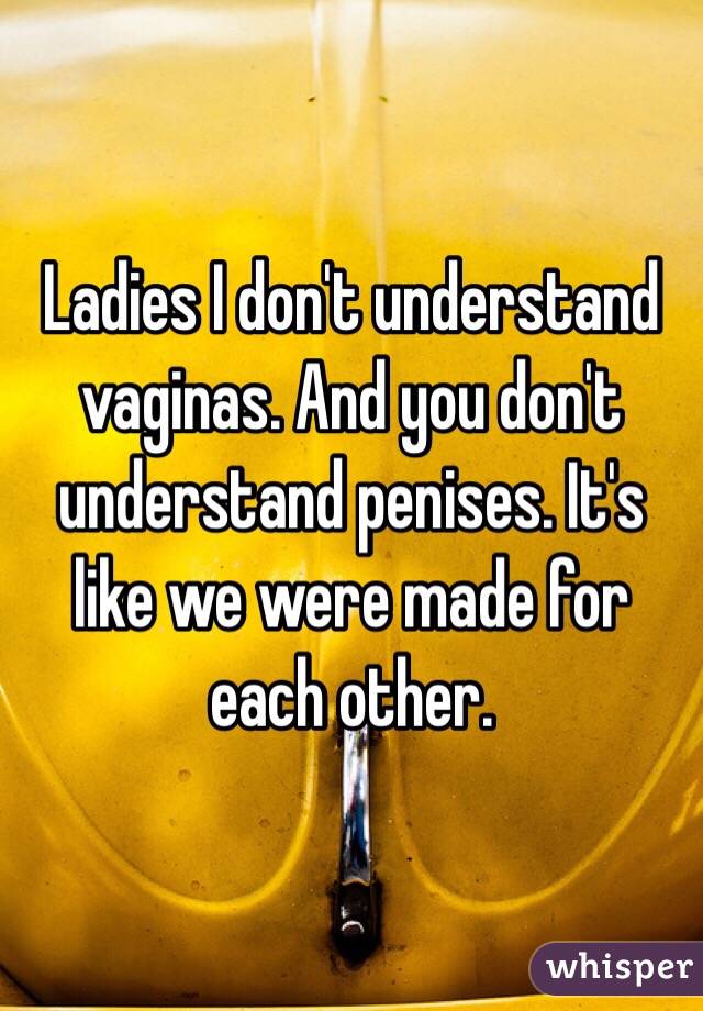 Ladies I don't understand vaginas. And you don't understand penises. It's like we were made for each other. 