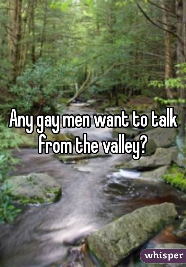 Any gay men want to talk from the valley?