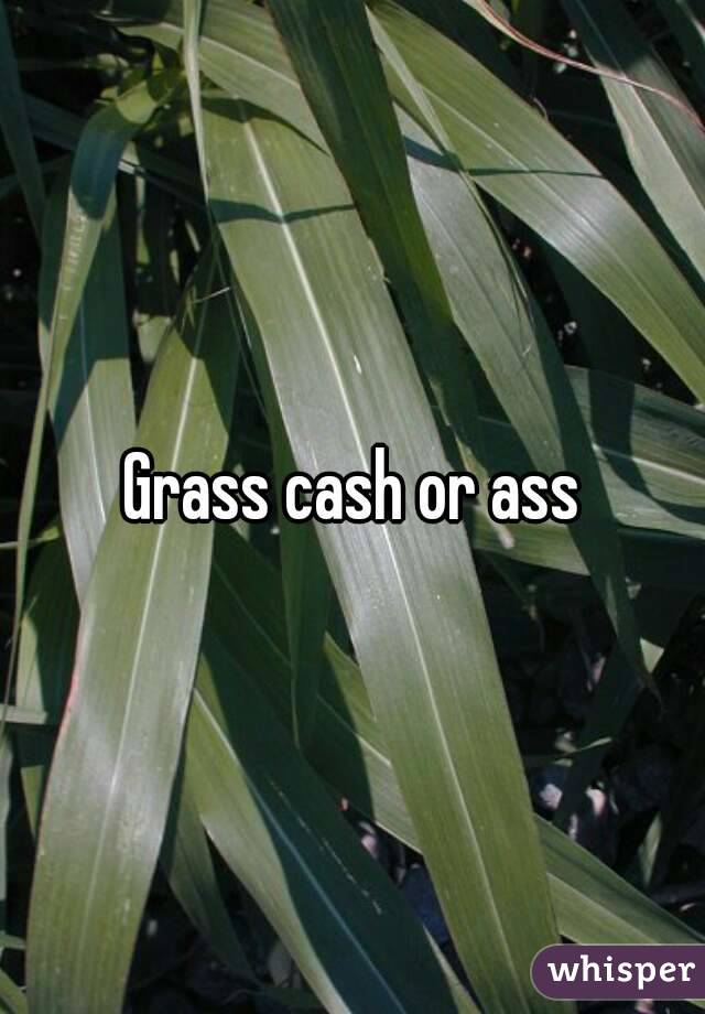 Grass cash or ass
