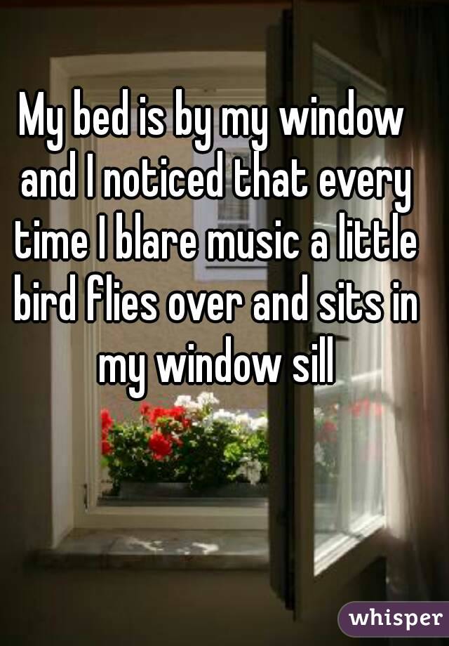 My bed is by my window and I noticed that every time I blare music a little bird flies over and sits in my window sill