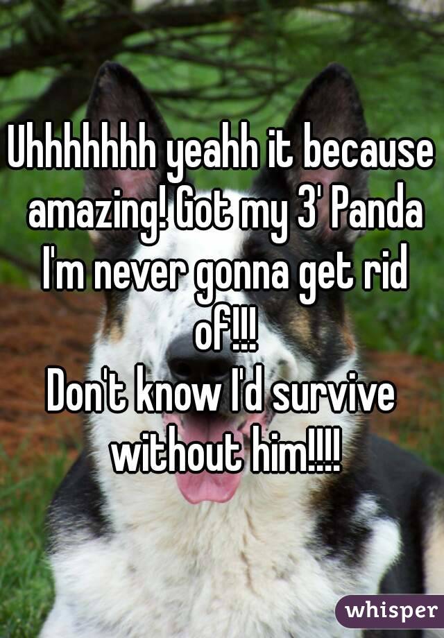 Uhhhhhhh yeahh it because amazing! Got my 3' Panda I'm never gonna get rid of!!!
Don't know I'd survive without him!!!!