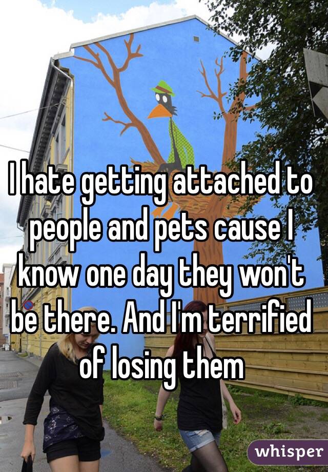 I hate getting attached to people and pets cause I know one day they won't be there. And I'm terrified of losing them 