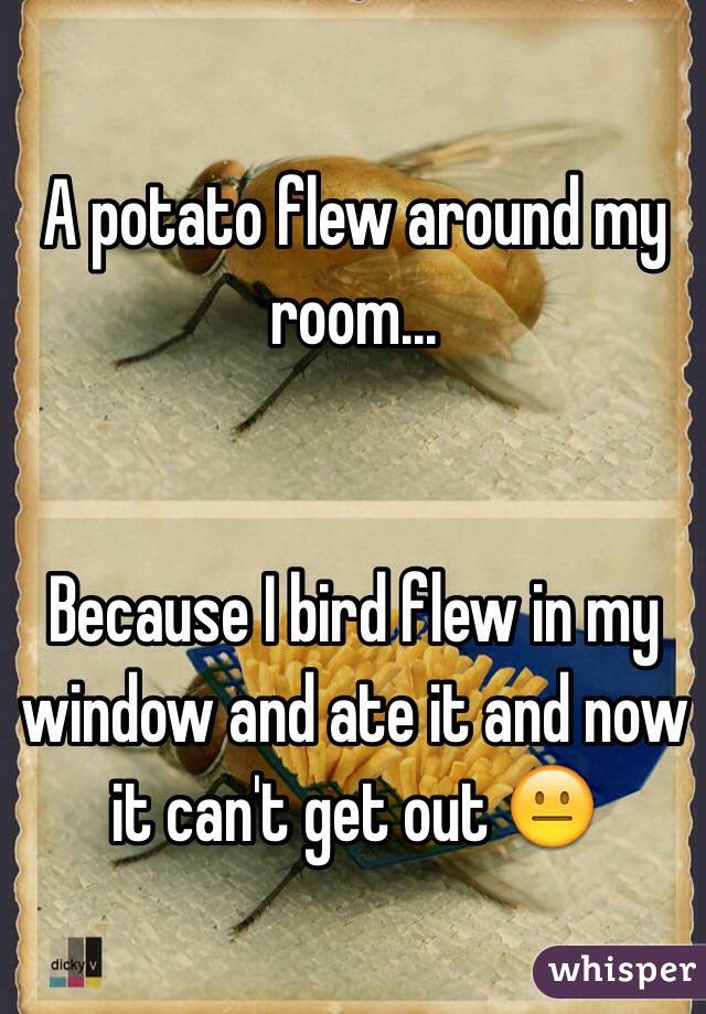 A potato flew around my room...


Because I bird flew in my window and ate it and now it can't get out 😐 
