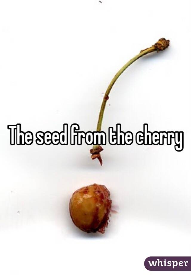 The seed from the cherry 
