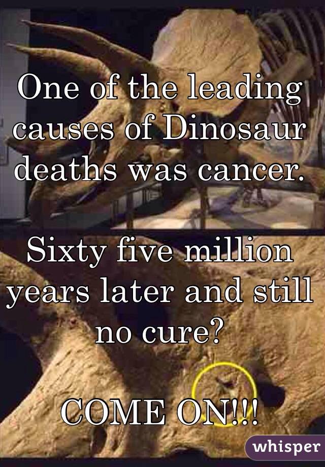 One of the leading causes of Dinosaur deaths was cancer.

Sixty five million years later and still no cure?

COME ON!!!