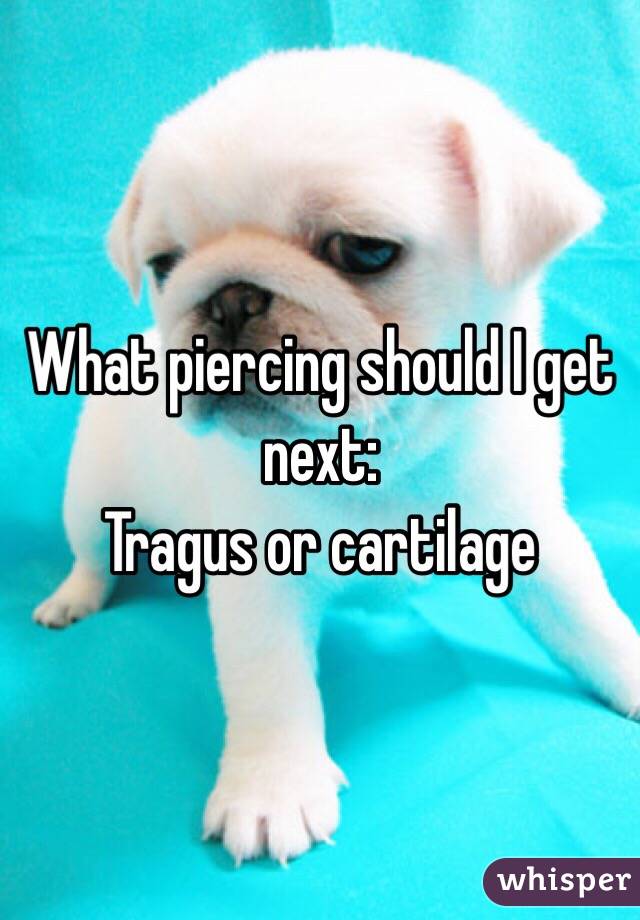 What piercing should I get next:
Tragus or cartilage
