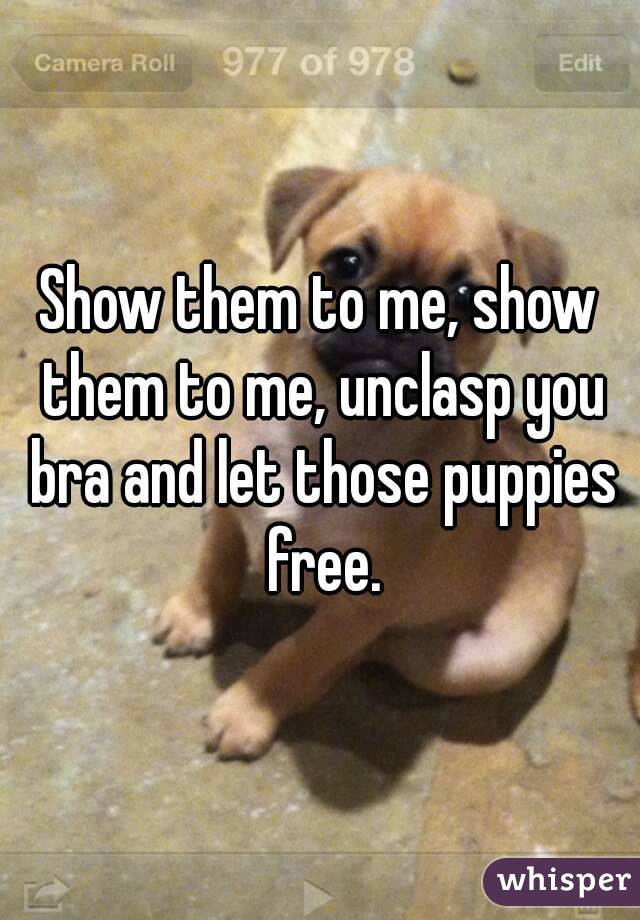 Show them to me, show them to me, unclasp you bra and let those puppies free.