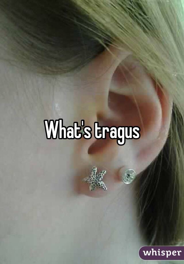 What's tragus