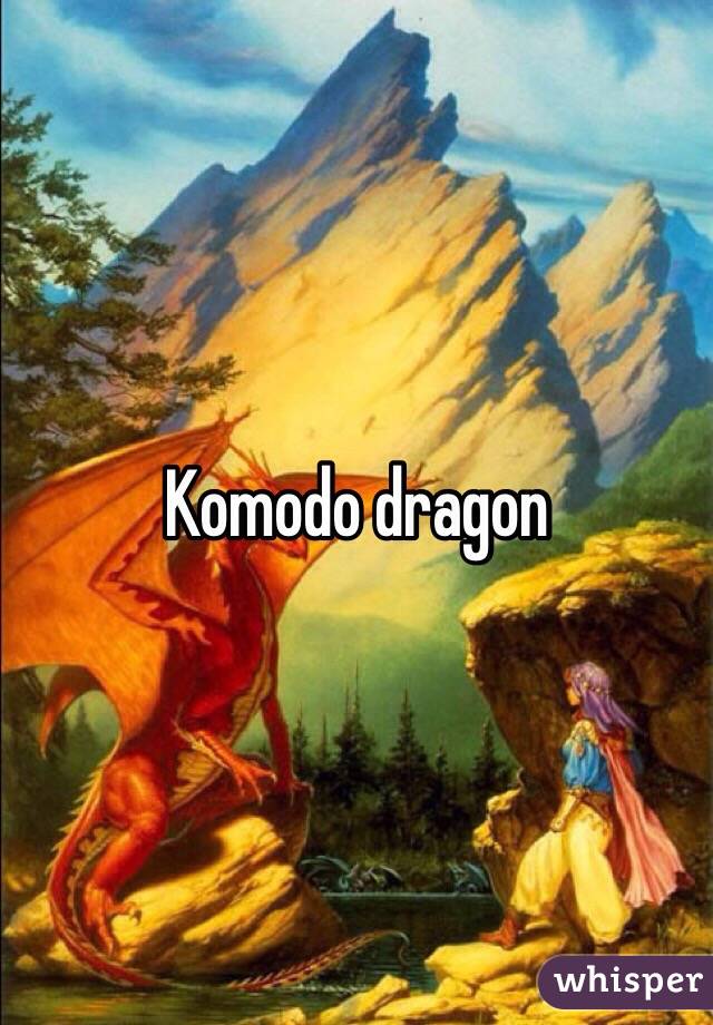 Komodo dragon 